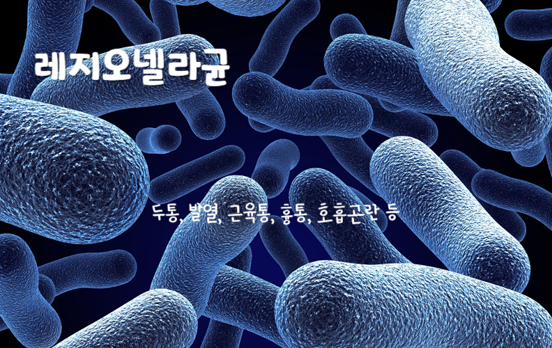 레지오넬라균
두통, 발열, 근육통, 흉통, 호흡곤란 등