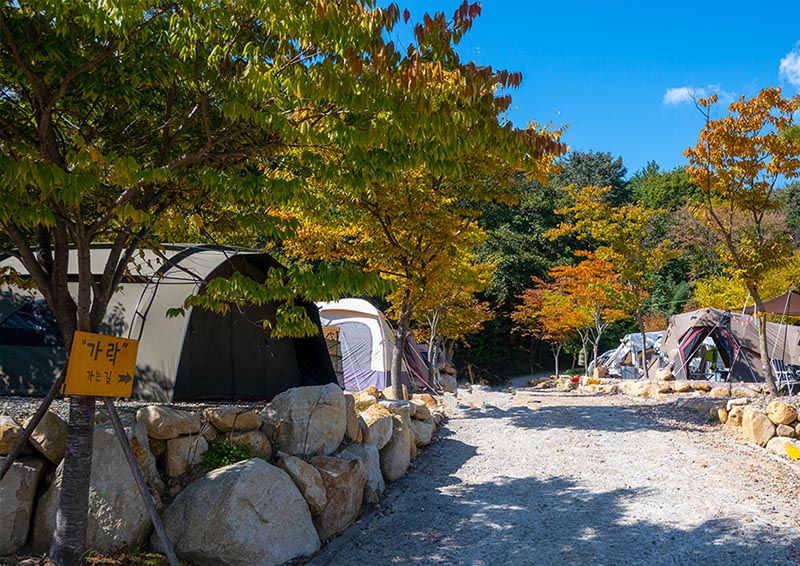 김해 가야랜드달빛야영장 소개