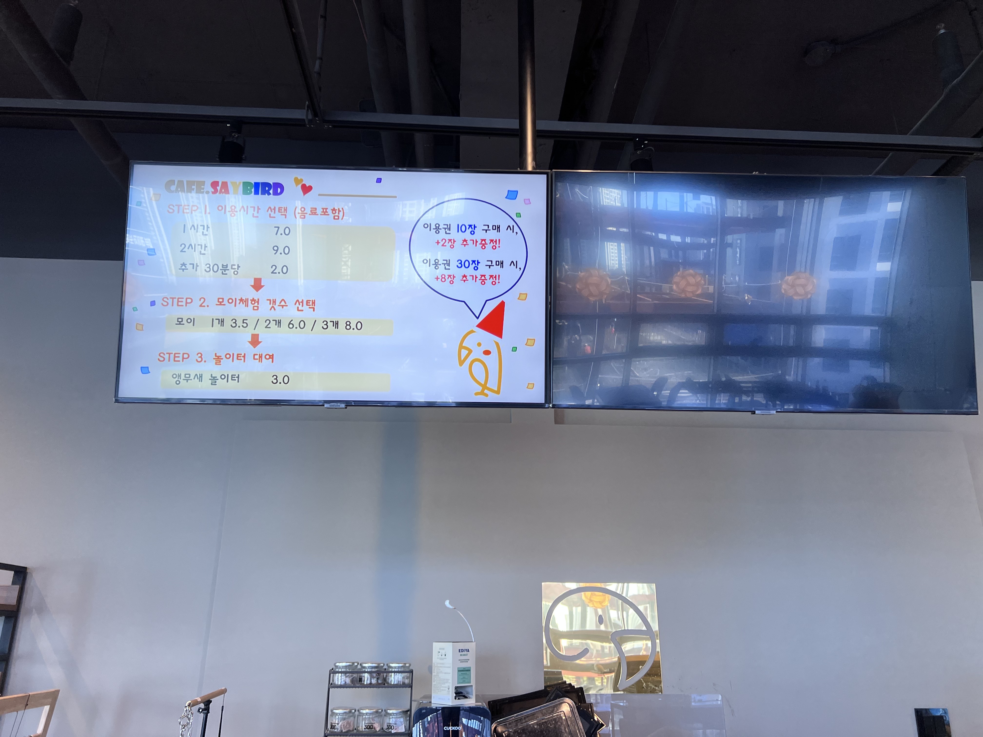 앵무새