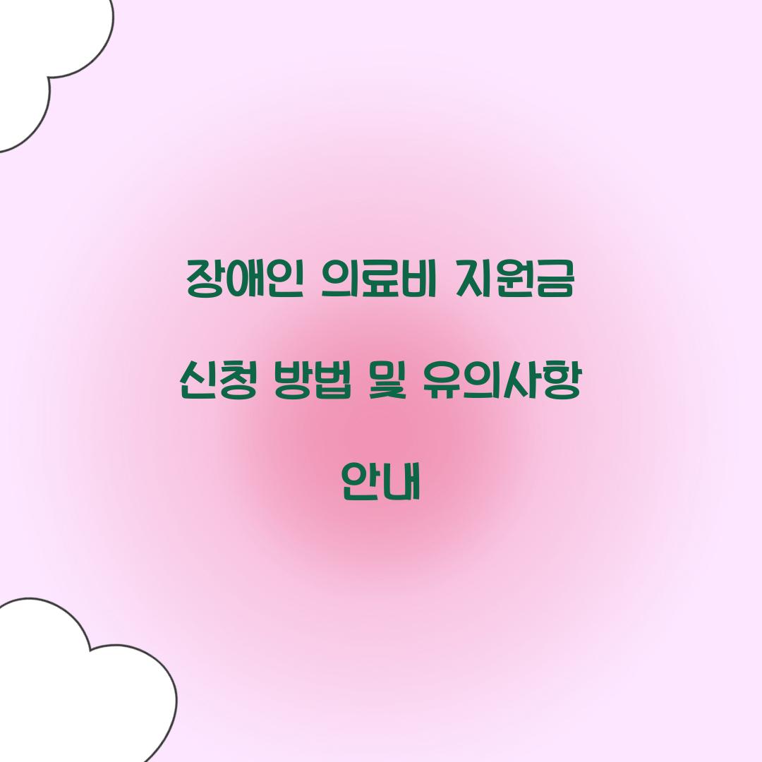 장애인 의료비 지원금