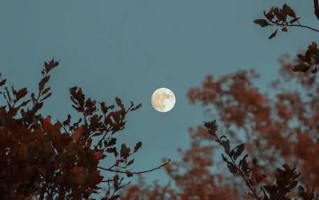 달 꿈해몽
