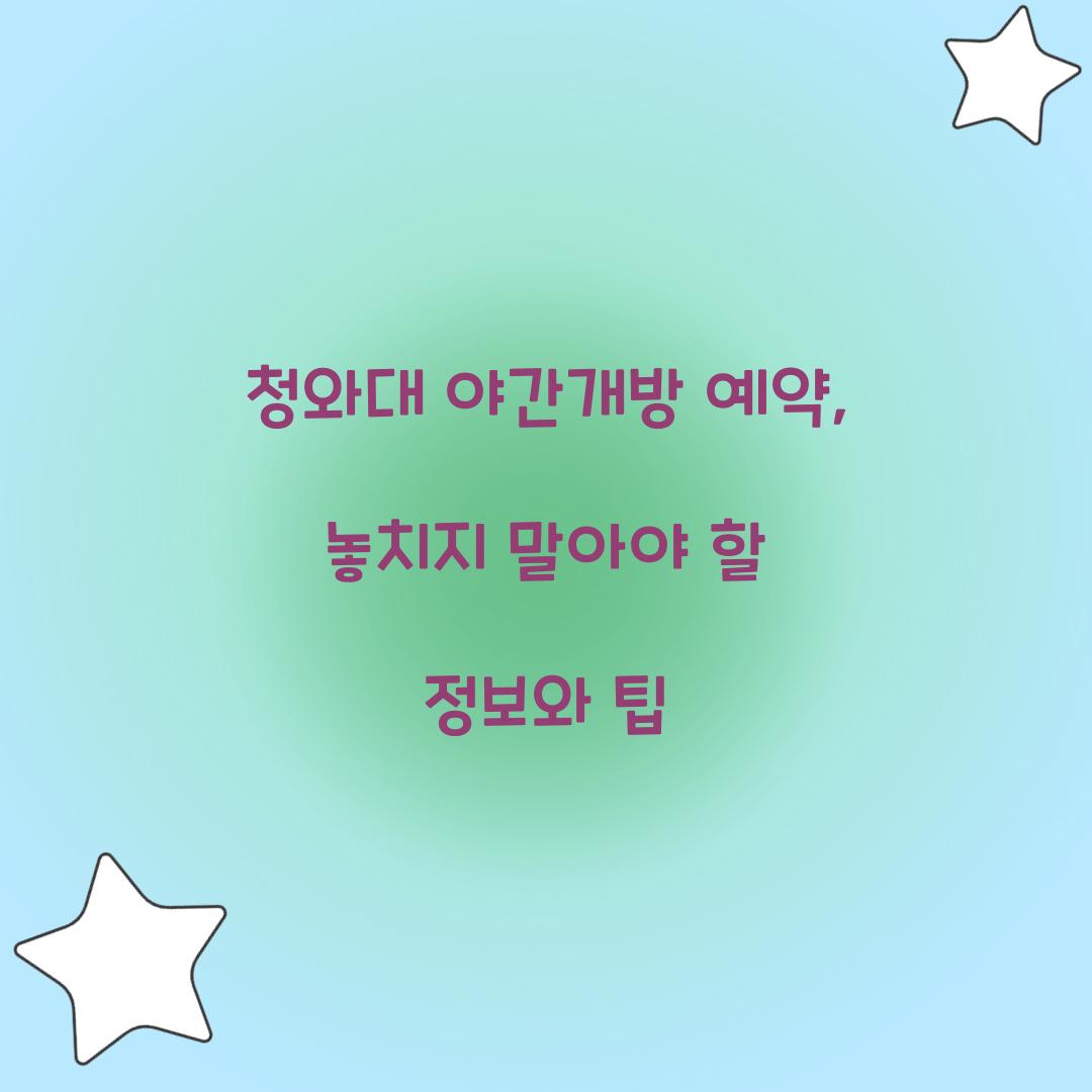 청와대 야간개방 예약