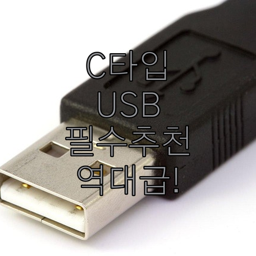 C타입 OTG USB 메모리 추천 모..