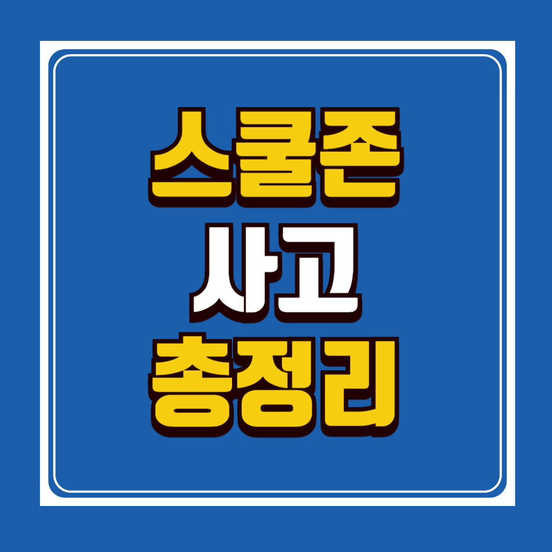 스쿨존 사고 총정리