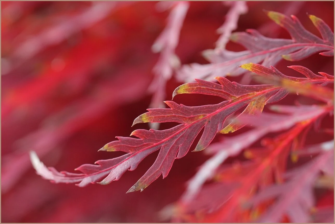 국민은행 정기예금 금리