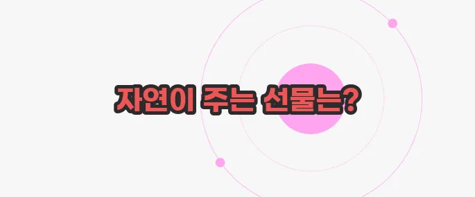치자 열매 효능  궁금한 점, 풀어보죠