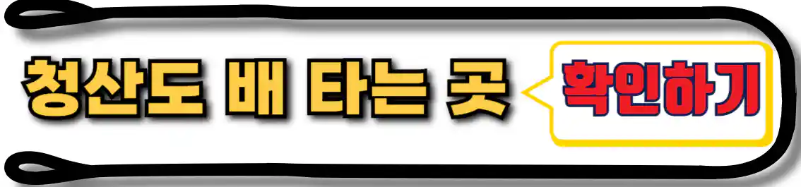 완도 여객선터미널 가는 길