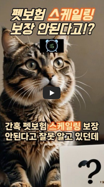 펫보험 스케일링 보장받는법