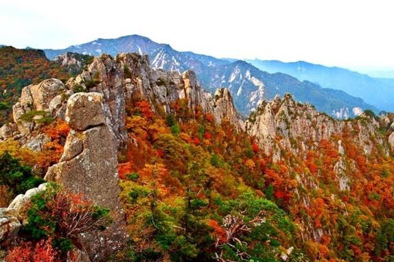 설악산단풍