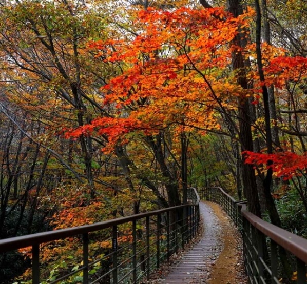 논산 가볼만한곳 베스트 10