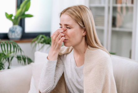 비염 증상&amp;#44; 뿌리를 뽑으려면&amp;#44; 치료방법 총정리 (2024ver)