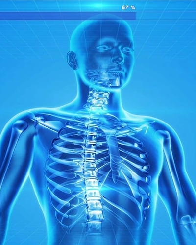 파프리카 효능 사진5