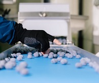 블루베리선별기