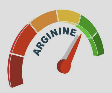 아르기닌 효능 부작용 복용법 하루섭취량 총정리(최신)