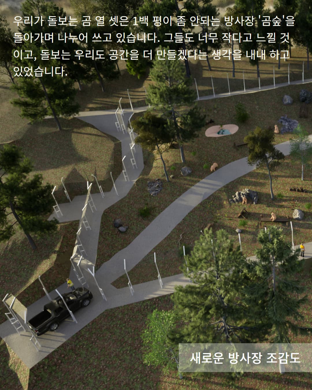 구조된 곰을 위한 생츄어리 확충이 시급합니다