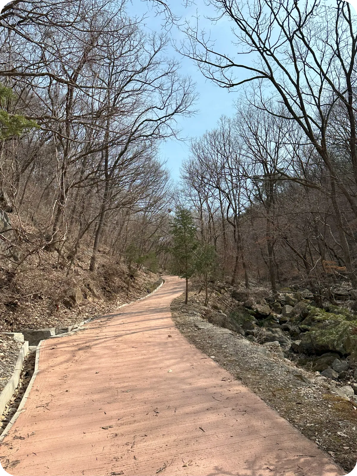 용인자연휴양림 등산로