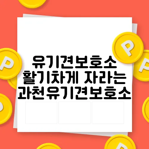 유기견보호소 활기차게 자라는 과천유기견보호소