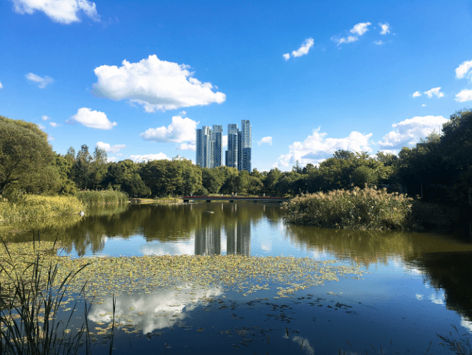 서울숲-한국관광공사