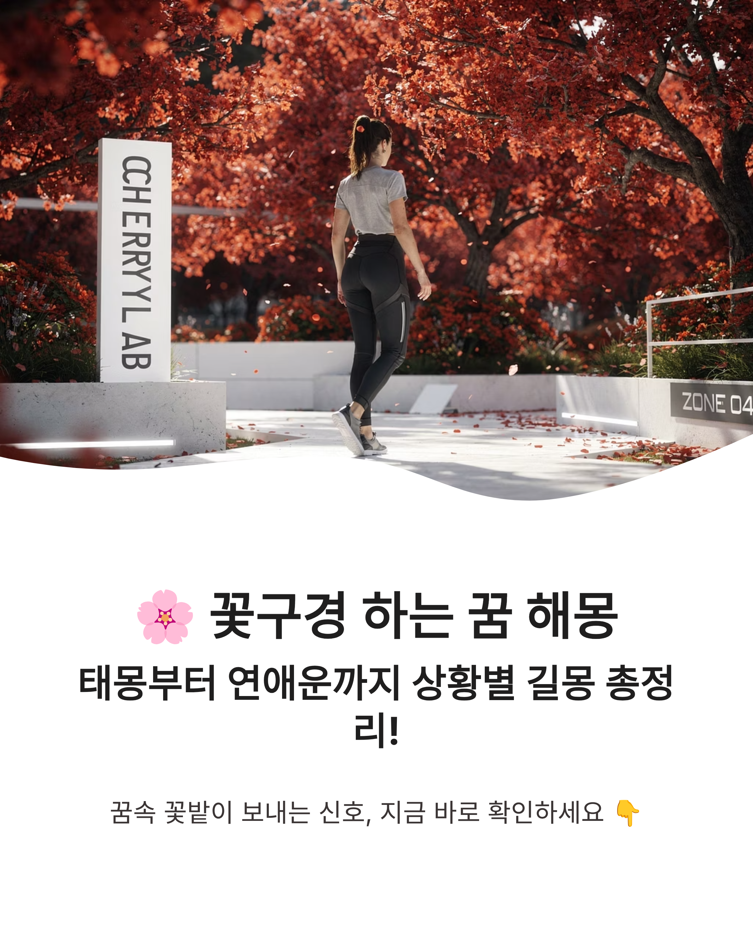 꽃구경 하는 꿈 해몽 태몽부터 연애운까지 상황별 길몽 총정리!