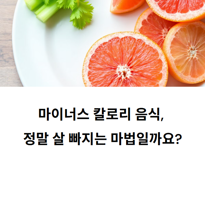 샐러리와 자몽이 담긴 다이어트 식단 접시