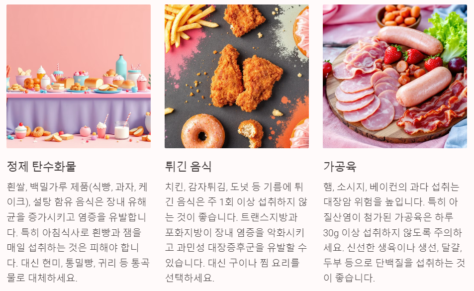 정제 탄수화물 튀긴음식 가공육