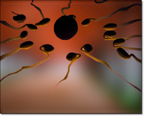 남성 갱년기 영양제 효능 테스토스테론 수치 개선