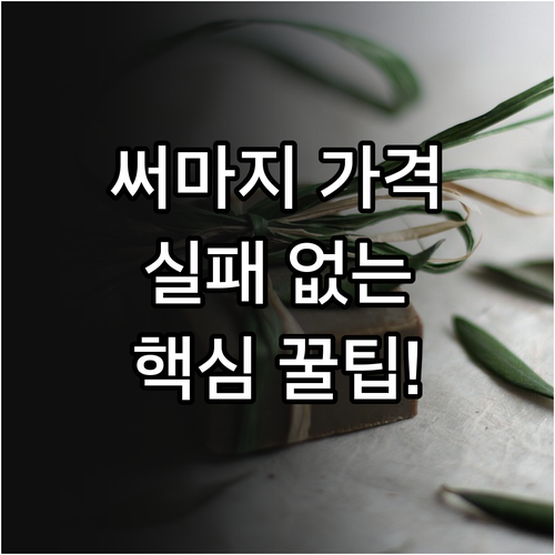 합리적인 써마지 가격 선택과 숙련된 ..