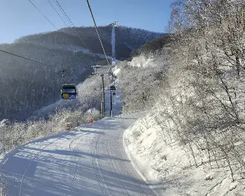 발왕산 케이블카_27