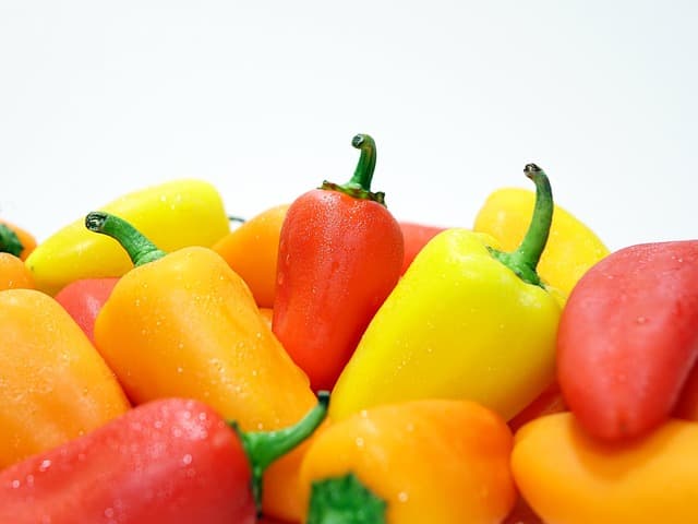 여름철 체온 조절: 더위 속 에너지 보충과 열사병 예방을 위한 영양제