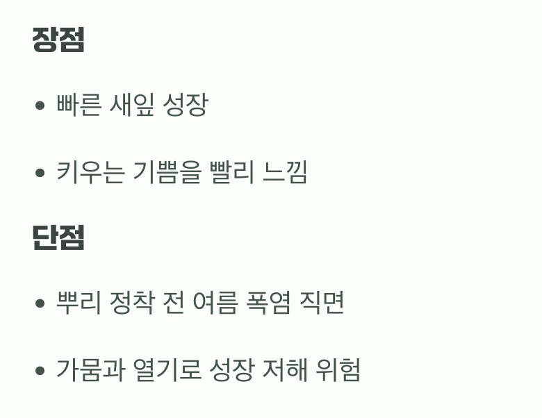 봄 식재, 희망과 함께 찾아오는 시련