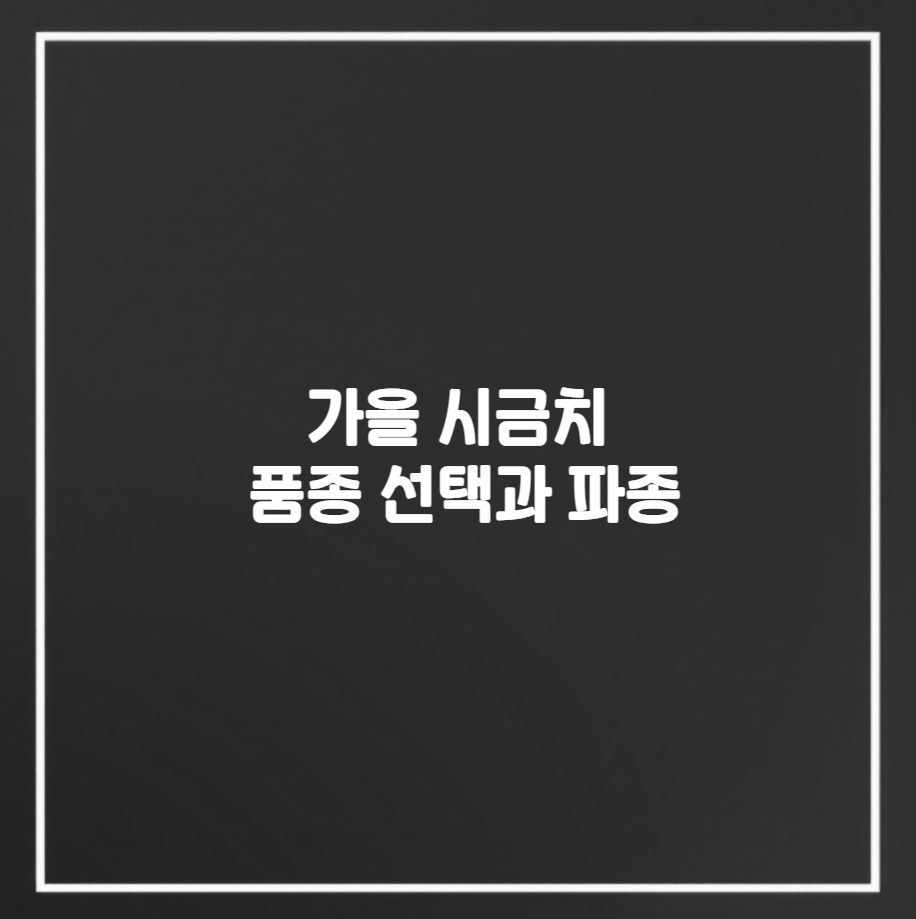 가을 시금치 품종 선택과 파종