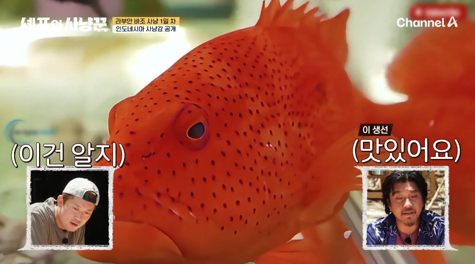 연예인들이 멧돼지 사냥해오면 월클셰프가 요리해주는 미친 예능.jpg | 인스티즈