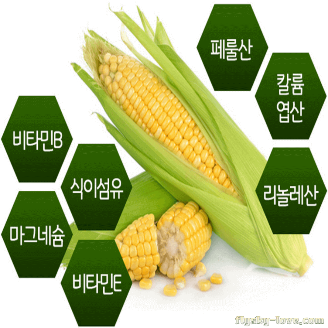 초당 옥수수 주요성분