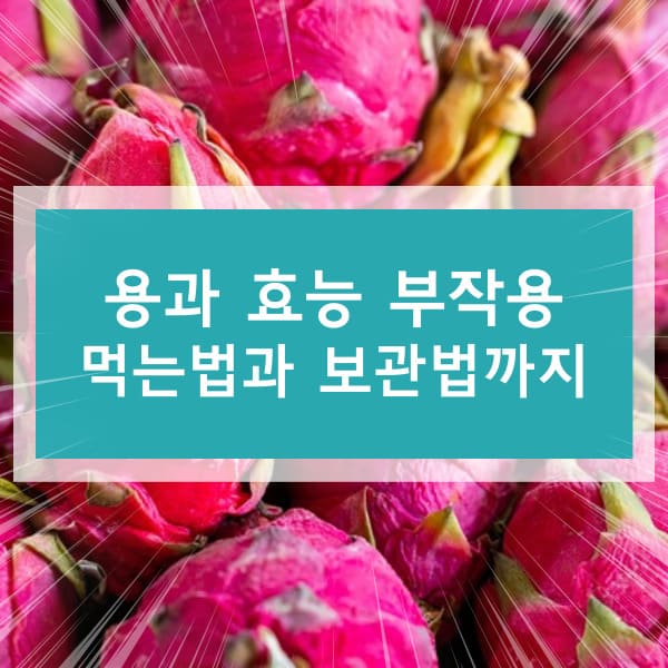 용과 효능 부작용