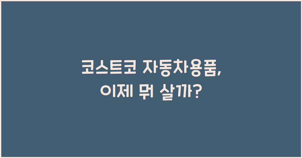 코스트코 자동차용품