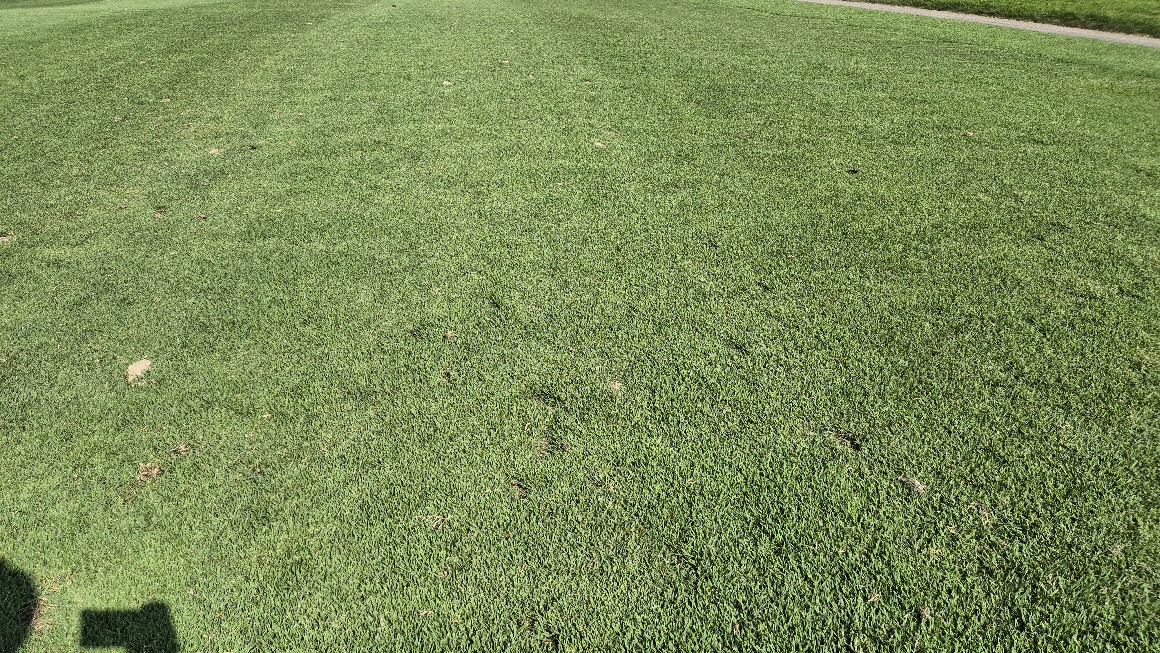 태광cc 북-서 코스 라운드 후기