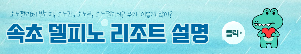 속초델피노리조트