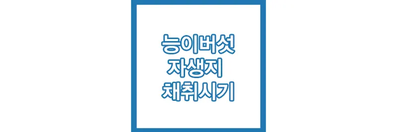 섬네일