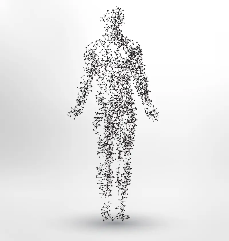 두리안의 건강 효능