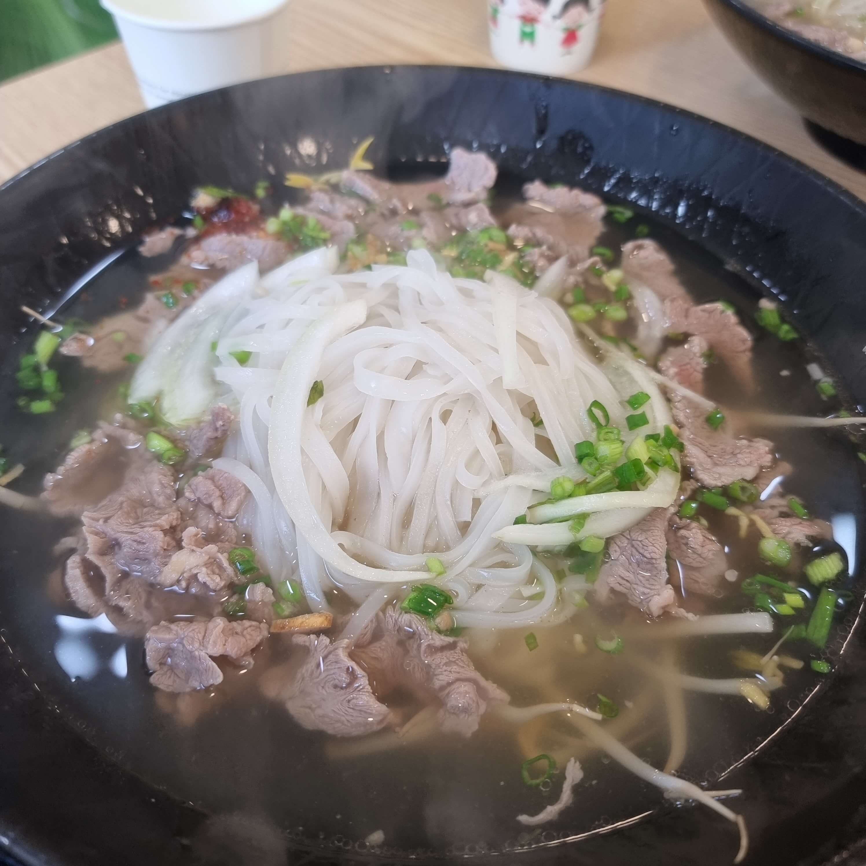 제천 맛집 추천 미향 베트남 쌀국수