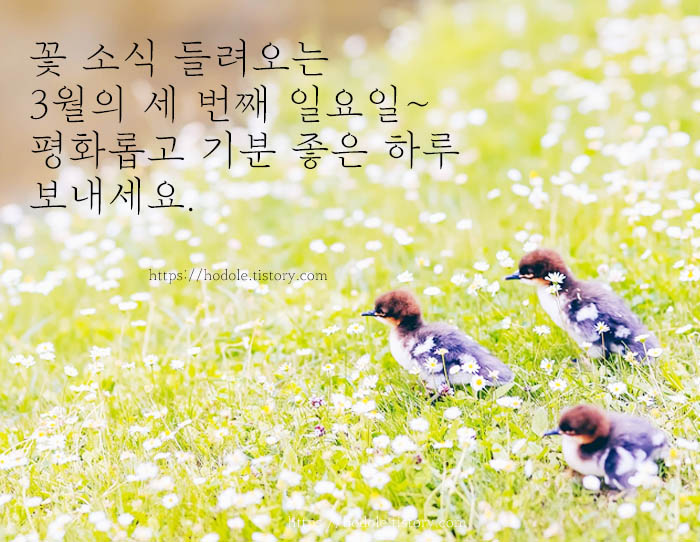 한결같은것은 없다