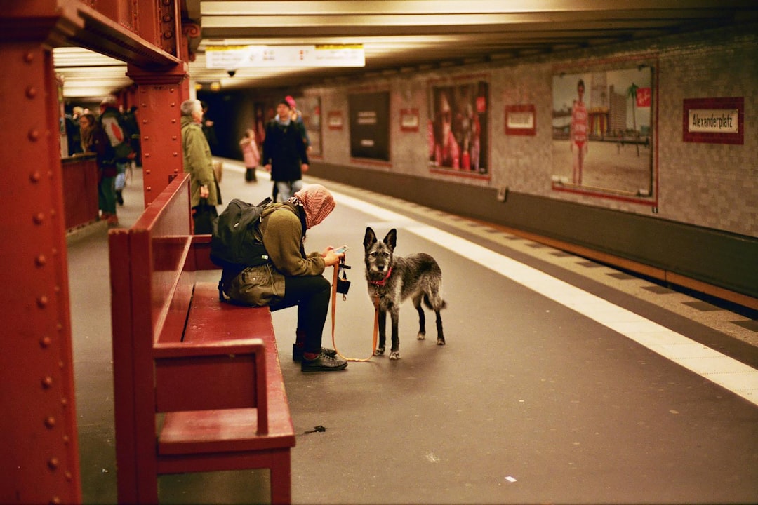 Guide dog.