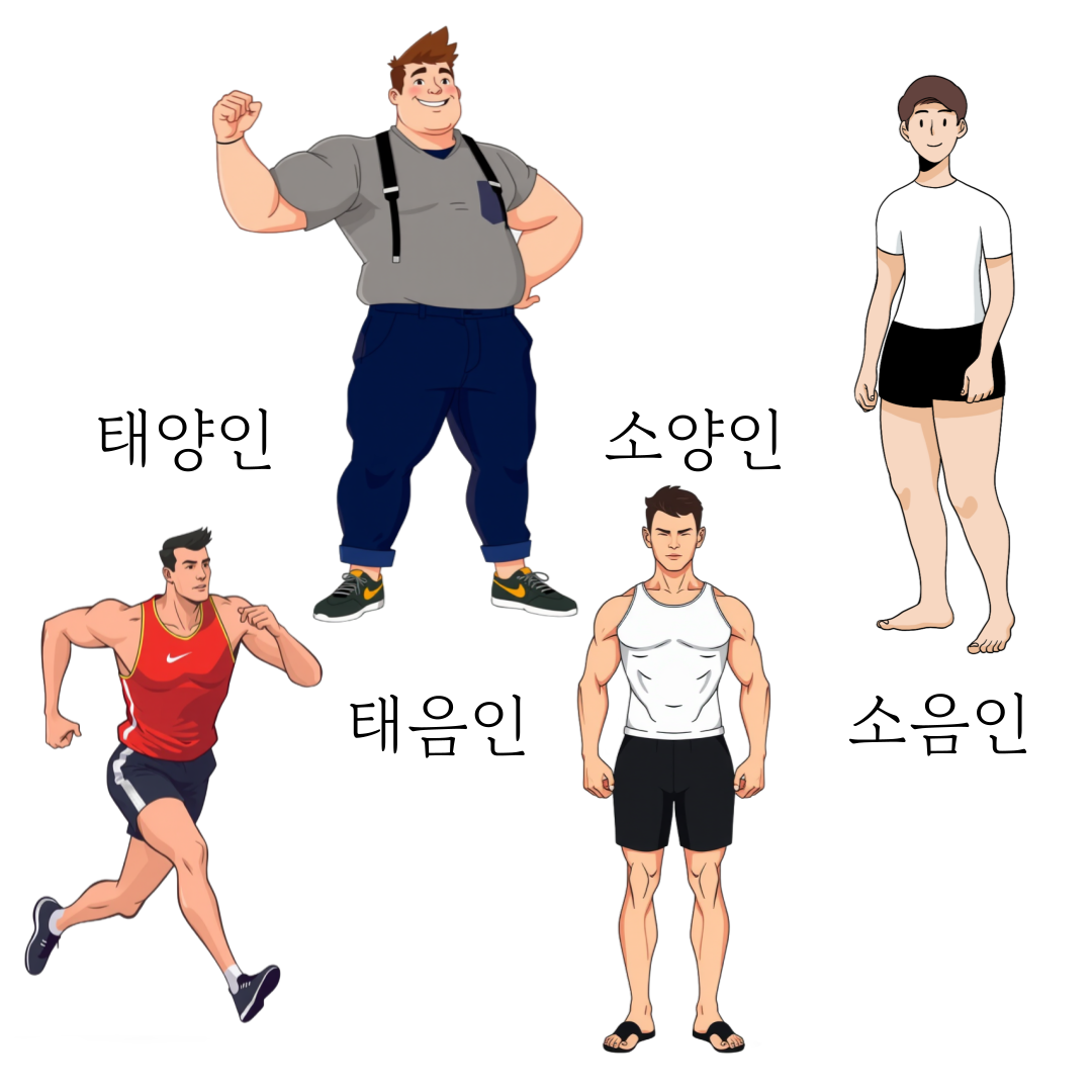 동양 의학 체질 유형 관련 태양인,태음인,소양인,소음인 특징을 잘 나타낸 체형 이미지