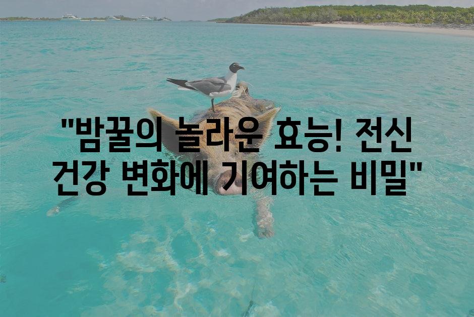 샘플 (1)
