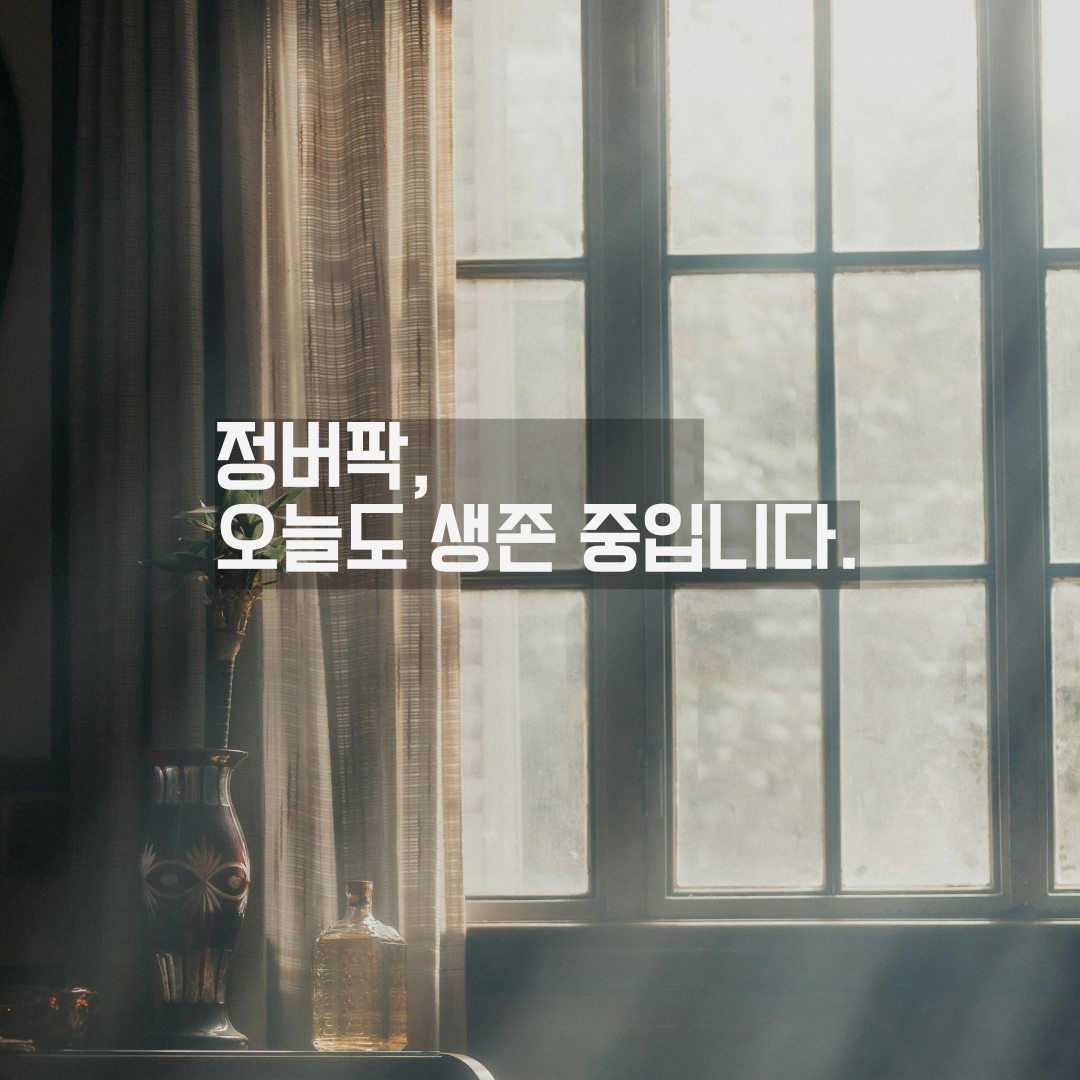 오늘도 잘 살았다