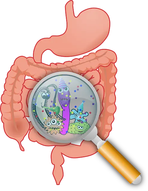 오분도미-효과-장건강