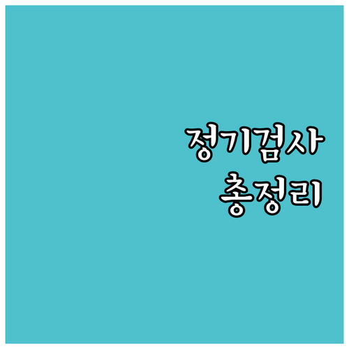 자동차 정기검사 비용 완벽 정리: 차..