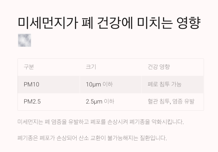 미세먼지가 폐 건강에 미치는 영향-내용