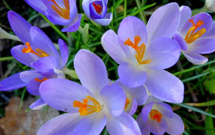 화담숲-예약하기