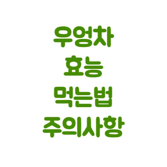 우엉차 효능 먹는법 주의사항